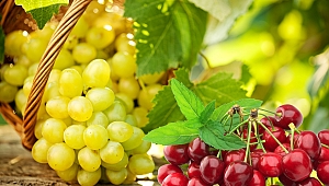 Ege'den yaş meyve sebze ihracatında rekor