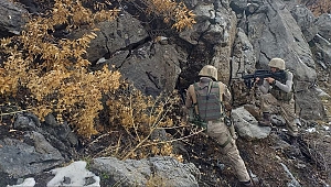 Hatay'da 'Kapan-2 Amanoslar Operasyonu' başladı