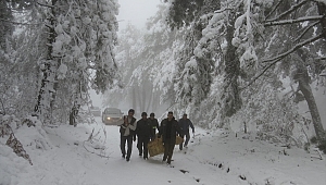 İzmir'de yaban hayvanlarına yem desteği