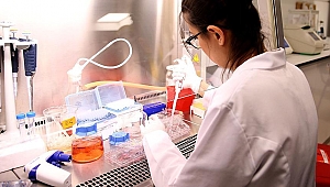 İzmirli Türk bilim insanları magnezyumun ağrıyı azalttığını kanıtladı