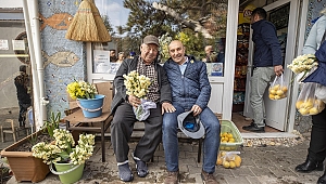KARABURUN'A NERGİS AKINI