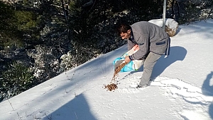 Kemalpaşa Belediyesi soğuk kış günlerinde can dostları unutmadı