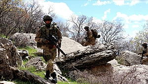 Kıran operasyonları tamamlandı