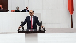 Mahir Polat: Zeytinliklerimize yazık olmasın!