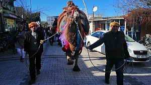 Menemen 8. Geleneksel Türkelli Deve Güreşleri’ne hazır