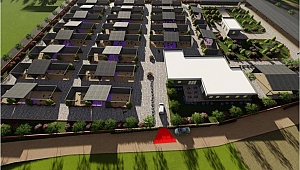 Menemen’deki sokak hayvanları sorunu çözülüyor