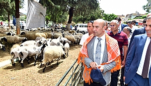 Tarımda İzmir rüzgarı! İşte İzmir’in 2019 yılı tarım projeleri...