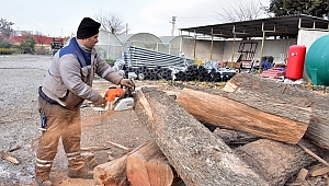 Budanan dallar ihtiyaç sahipleri için kışlık yakacak oluyor