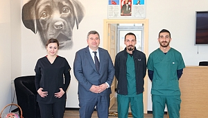 Çeşme’de sokak hayvanları için veteriner kliniği açılıyor!