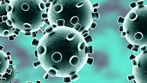 Coronavirüs nedir, kaç tipi vardır, nasıl tedavi olur?