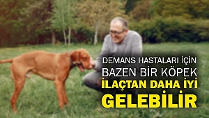 Demans hastaları için bazen bir köpek ilaçtan daha iyi gelebilir