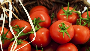 İhracatın yıldızı ‘domates’ oldu