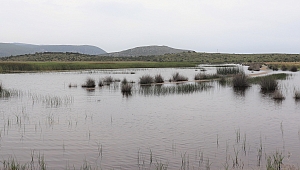 İzmir’deki o gölün kanalları kapatılıyor