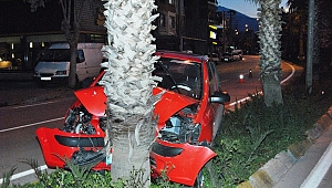 Ödemiş'te otomobil ağaca çarptı: 1 yaralı