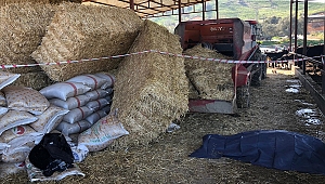 Saman balyaları muhtarın canını aldı