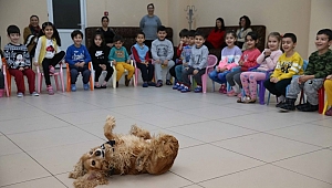 Tarçın, Ego ve Müdür, çocuklara hayvan sevgisi aşılıyor