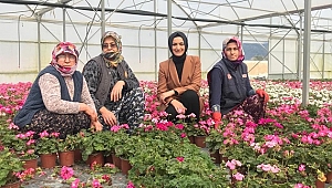 AK Parti İzmir'den bir ilk Kadın çiftçilere 