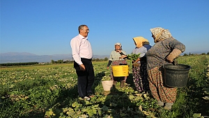 Atila Sertel: Kadın varsa üretim, demokrasi ve özgürlükler vardır