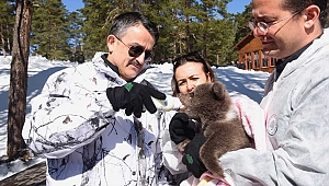 Bakan Pakdemirli, ayı yavrusunu elleriyle