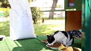 Can dostlar Karşıyaka Belediyesi’ne emanet