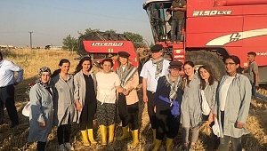 Ceyda Bölünmez Çankırı: Kadın elinin değmediği her şey yarımdır