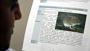 Çin’de bu sefer “hantavirüs” öldürdü!