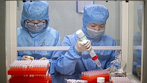 Çin’de covid- 19 aşısının denenmesine onay!