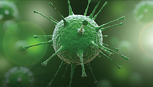 Flaş... Rusya corona virüs ilacı geliştirdiğini açıkladı!