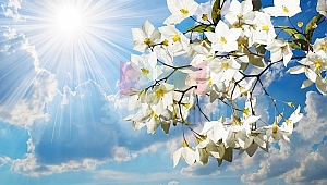 Meteorolojiden iyi haber: İzmir'de havalar ısınıyor