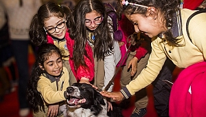 Türkiye’nin en büyük Pet Fuarı İzmir’de başlıyor