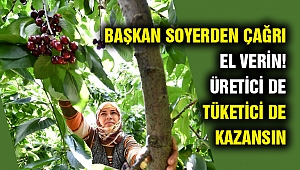 Başkan Soyer’den kiraz hasadına katılım çağrısı