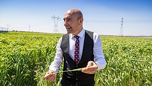 Başkan Tunç Soyer'den 'karakılçık' mesajı... Yeter ki üretin!