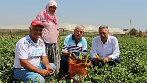 Beko: Tarıma destek verilmemesi dehşet tablosudur!