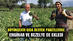 Büyükşehir, gıda paketlerine bezelye ve enginar da ekledi