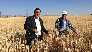 CHP'li Gürer, tarımdaki krizin reçetesini açıkladı