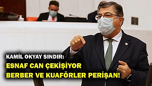 CHP'li Sındır: Esnaf perişan, acil destek şart!