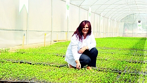 İşsizler tarıma yönlendirilmeli yoksa gıda sorunu kapıda