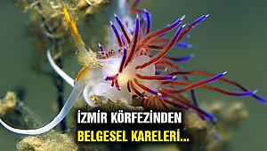 İzmir Körfezi'nden tablo gibi kareler