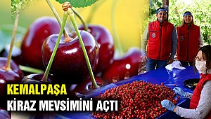 Kemalpaşa kiraz mevsimini açtı