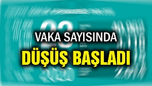 Koronada vaka sayıları inişe geçti!