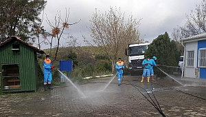 KORONAVİRÜS İLE MÜCADELEDE SOKAK HAYVANLARI UNUTULMADI