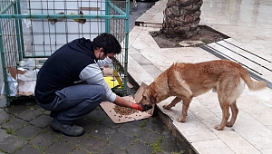 Kuşadası Belediyesi, onlar için de sokağa çıktı