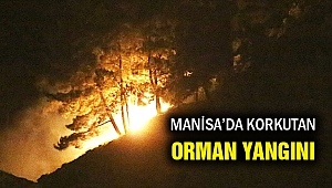 Milli Parkı tehdit eden orman yangını korkuttu!