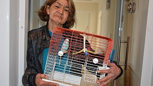 Virüs Gülü'yle yalnızlığı sona erecek