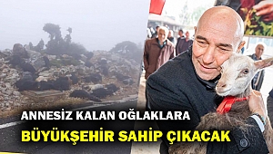 Annesiz kalan 20 oğlak Büyükşehir’e emanet