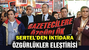 Atilla Sertel: AKP’nin “istikrarlı” olduğu tek alan özgürlük ihlalleri