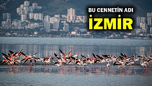 Başkan Soyer Güney Gediz Deltası projesini yerinde inceledi