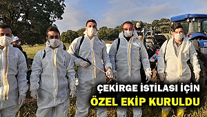 İlçe Tarım ile Tire Belediyesi çekirge mücadelesine başladı