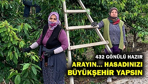 İzmir Büyükşehir, 432 gönüllü ile 150 üreticiye meyve hasadına gidiyor