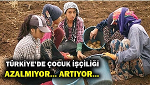 KANİ BEKO: ÇOCUK İŞÇİLİĞİ ARTIYOR